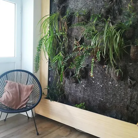 Vendégház Mochita Loft 3*
